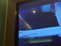 -臻享足道·HIFI影院足疗SPA(成华店)