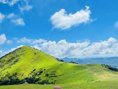-大姆山草场