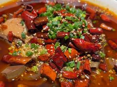 -向川南·水煮鱼·川菜(和平里店)