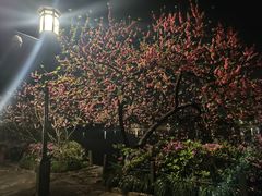-杭州植物园