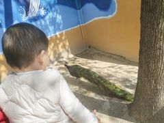-宁波九龙湖开元度假村