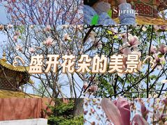 -护国法轮寺