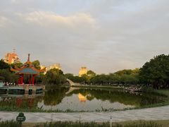 -金砂公园