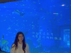 -南昌融创海世界