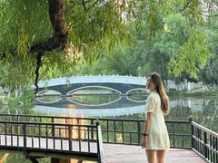 -青城公园