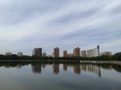 -莲花池公园