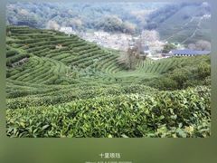 -十里琅珰