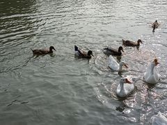 -玄武湖景区-情侣园游乐场