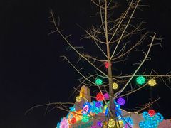 -国色天乡三期陆地乐园