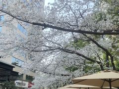 -玛格萝妮比萨屋(四平店)