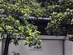 -蠡湖大桥公园