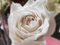iphone_upload_pic-花言草语鲜花店(灵山路店)