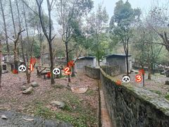 -都江堰中华大熊猫苑
