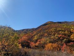 -建平天秀山森林公园