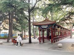 -中国人民解放军总医院(301医院)