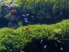 -北京海洋馆