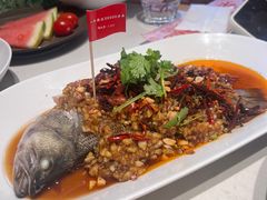 -杨氏青龙虾·羊蝎子(托乐嘉店)