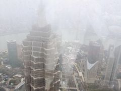 -上海柏悦酒店·世纪100牛排馆