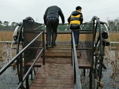 -武汉紫薇都市田园