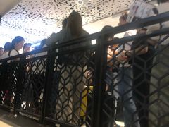-崇光百货(尖沙咀店)