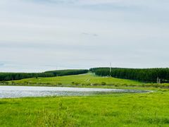 -塞罕坝国家级自然保护区