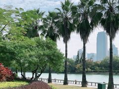 -白鹭洲公园