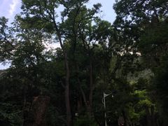 -五泉山公园