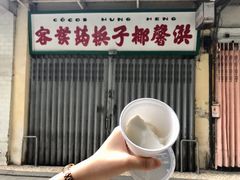 -洪馨椰子