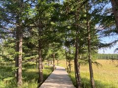 -亿利库布其七星湖沙漠生态旅游区