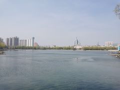 -莲花池公园