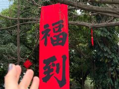 -南宁南湖公园