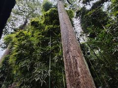 -成都杜甫草堂博物馆