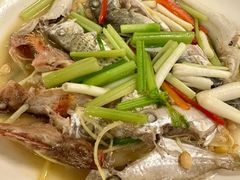 炖杂鱼-盛中钰广味小馆