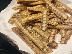 -玄白·炭烤活鳗(上海首店)