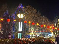 -河北省园博园