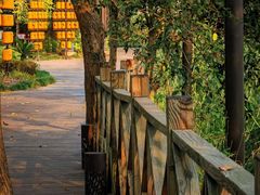 -西溪国家湿地公园