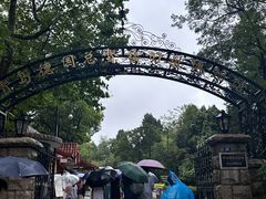 -青岛德国总督楼旧址博物馆