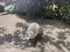 -潮州西湖
