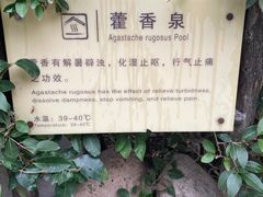 -汤山一号温泉度假区