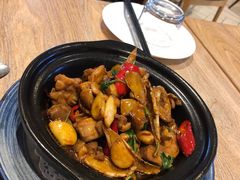 宝岛三杯鸡-芒果爆爆(东海缤纷店)