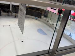 -TheRink大零溜冰场(IFS国金中心店)