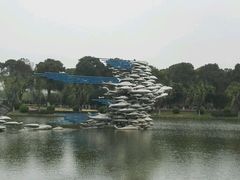 -上海鲜花港