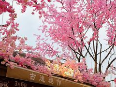 -首开·龙湖成都西宸天街