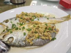 -泉龙渔村·粤式早茶·金牌烧鹅(中山三乡店)