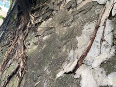 -湖广会馆-东水门及古城墙