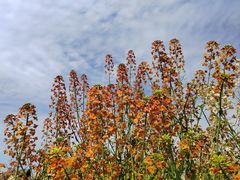 -中国天府农业博览园