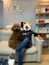 -첫번째 初见美学中心