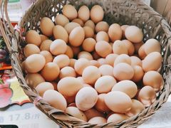 -马陆小张葡萄园农家乐