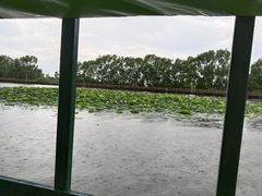 -白渔泡湿地公园