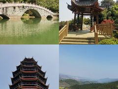 -铁山坪森林公园
